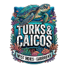 Turks Caicos Turtles Underwater World