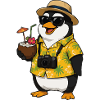 Hawaiian penguin with camera