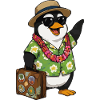 Penguin Vacation