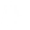 Contour Plasma Echoes Abstract Pattern