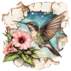 Kolibri