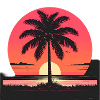 Sunset Palm Island