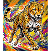 cheetah