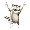 Raccoon with sunglasses