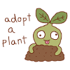 Adopt a Plant Cute Seedling