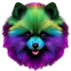 Lebendiges Regenbogenpomeranian-Pop-Art-Hundeporträt