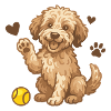 Doodle Brown - Chiot câlin