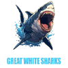 Great White Shark Great White Shark