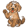 Doodle Red-Tri - Cuddly Dog Puppy