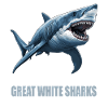 Great White Shark Great White Shark