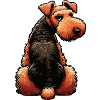 Airedale Terrier Airedales Airedale Lover