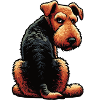 Airedale Terrier Airedales Airedale Lover