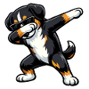 Dabbing Entlebucher Mountain Dog