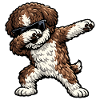 Dabbing Lagotto Romagnolo