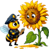 Polizeibiene prüft Sonnenblume