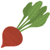 Beetroot Botanical Art