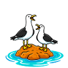 Dad Dad Dad - Funny Seagulls Kids
