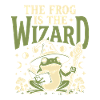 Frog Wizard Frog Magic Frog