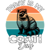 Nasenbär Coati