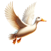 Peking duck Pekin Duck