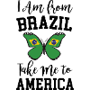 Brazil Flag Butterfly