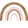 Leopard Rainbow Fourth Grade Design