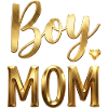 Boy Mom Gold Foil