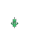 PAPA TRADEUR
