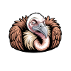 Vulture Sayings Vulture Funny Vulture Gift