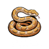 Snake Sayings Funny Snake Gift