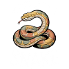 Snake Sayings Funny Snake Gift