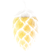 Hops