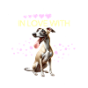 Windhund Mädchen