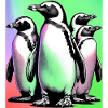 Penguin Penguins