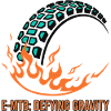 E-MTB Defying Gravity Flame Tire