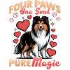 Shetland Sheepdog Sheltie Dog Breed
