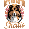 Shetland Sheepdog Sheltie Dog Breed