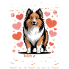 Shetland Sheepdog Sheltie Dog Breed