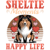 Shetland Sheepdog Sheltie Dog Breed
