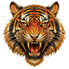 FlamesTiger Head