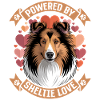 Shetland Sheepdog Sheltie Dog Breed