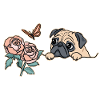 Pug with butterfly