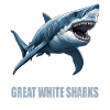 Great White Shark Great White Shark