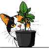 Cat Plant Portrait