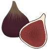 Fig Slice Botanical Print