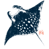 Rays with Kanji Stamp