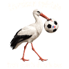 Colmar Cigogne Foot