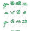Skull Skull Terrarium Botany Plants