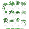 Skull Skull Botany Flowerpot Plants