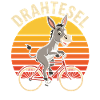 Drahtesel im Sonnenuntergang